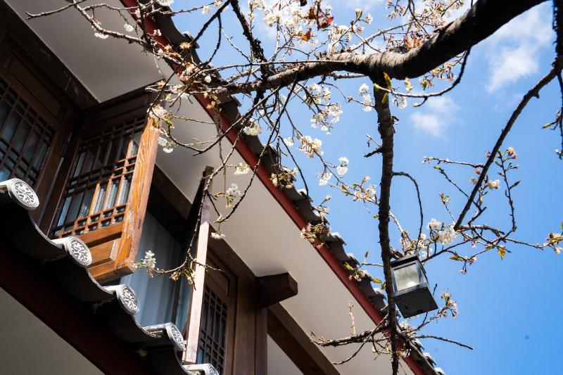 丽江古城丨此间 Alley丨隐匿一方庭院丨忠义市场店丨 - image 38