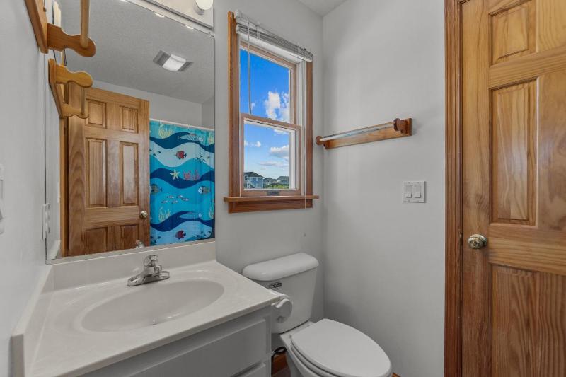 1522 - Sand Dollar - image 12