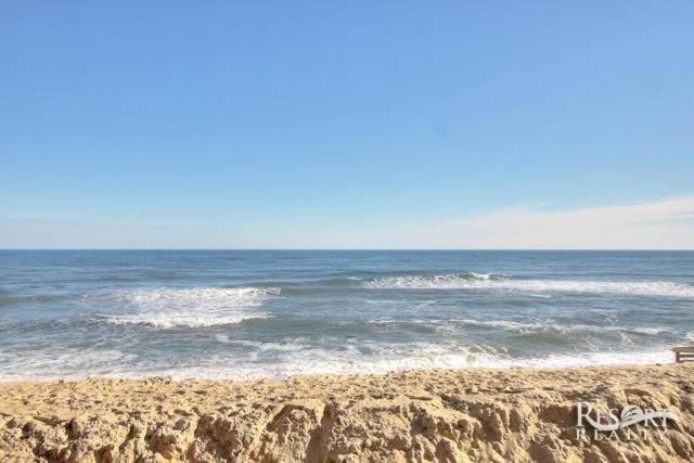 5215 - Dolphin Dreaming - image 9