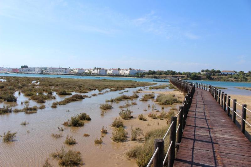 Quinta Velha Garden&Pool Flat 116 - image 19