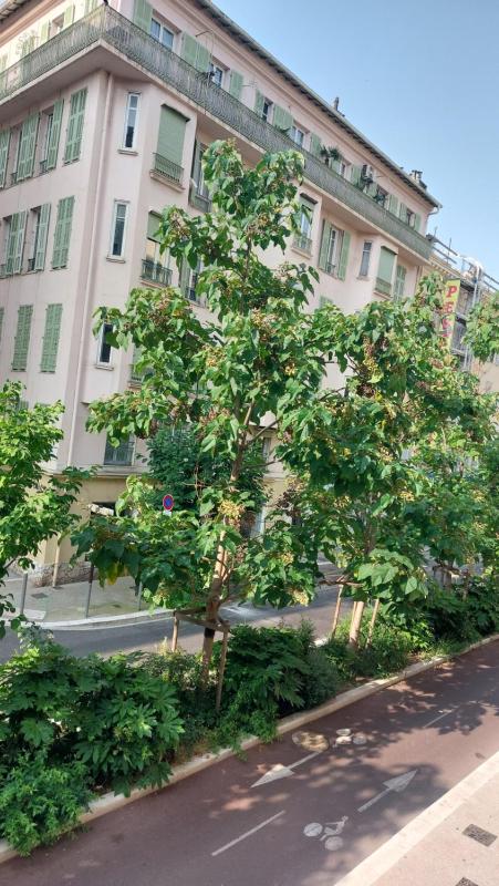Duplex Carré d'Or - 100m promenade des Anglais - image 6