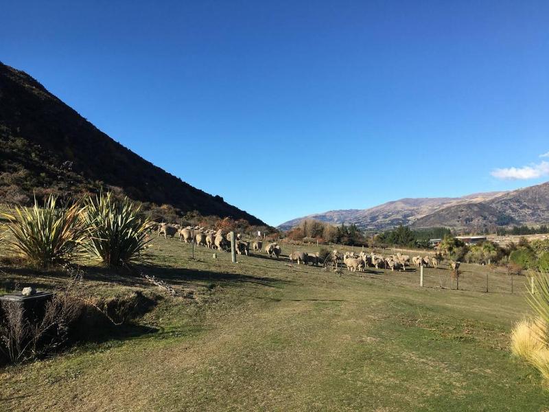 Wanaka 'Mount Iron Edge' with Mountain Views - image 12