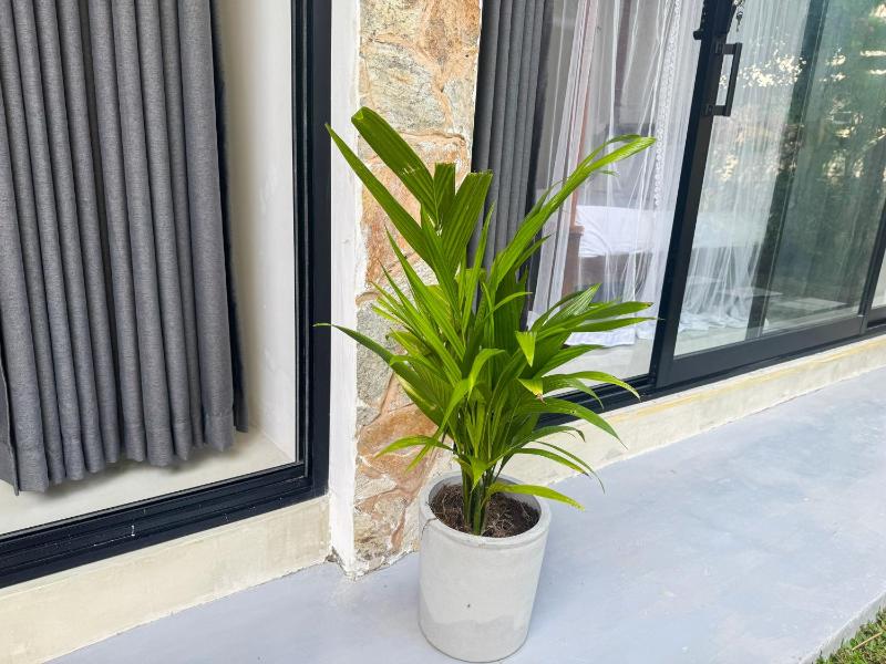SIlvas Surf Home - image 12