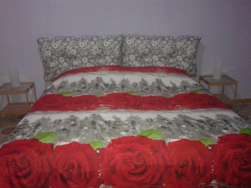 Double or Twin Room with Private Bathroom image 4