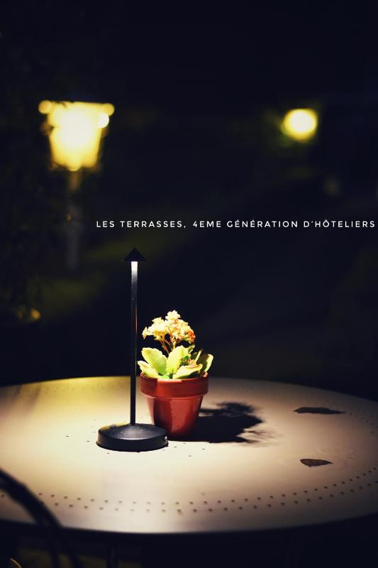 Hotel Les Terrasses - image 16