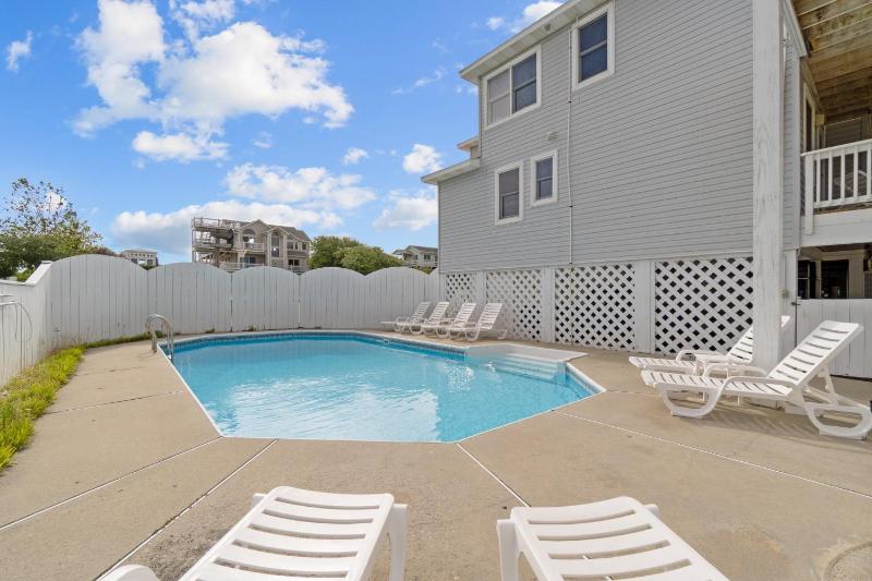 1522 - Sand Dollar - image 9