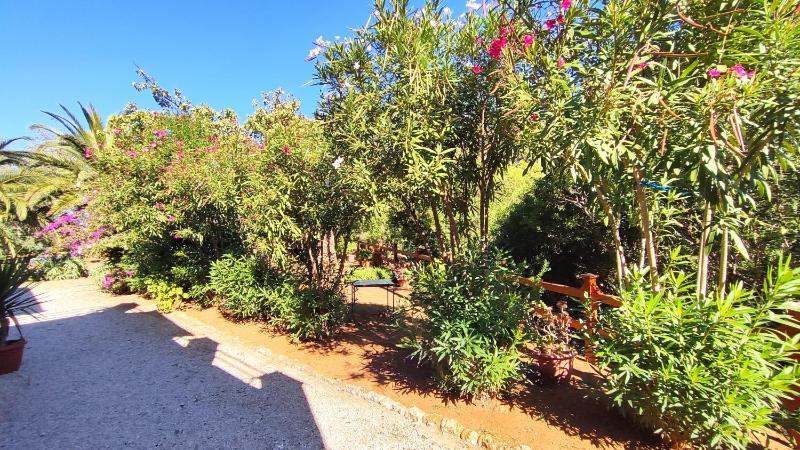 Appartamenti Villa Pineta Mare - Goelba - image 20