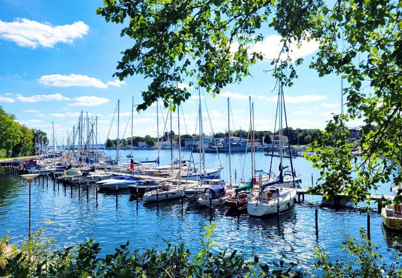 Romantische Ferienwohnung am Hafen mit gratis Bettwäsche-Paket und Terrasse - image 10