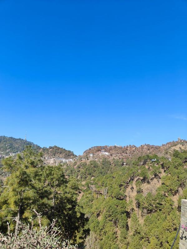 Navalya Homestay Kasauli - image 6