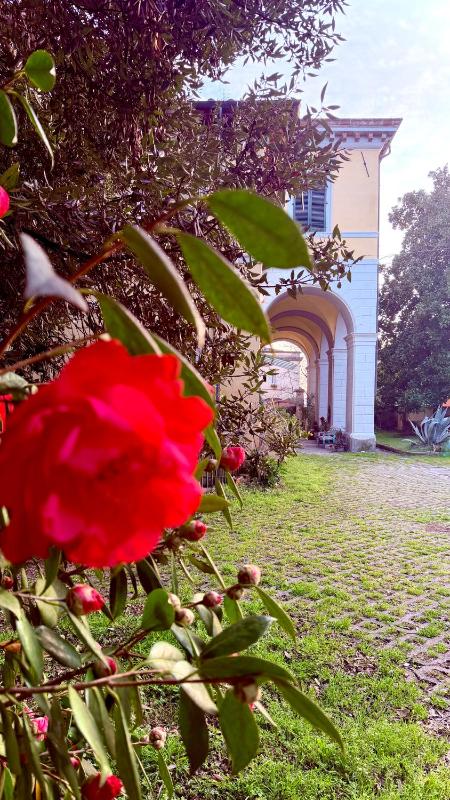 Villa La Dogana - B&B with a lovely garden - Private parking - Slow living in an old-fashioned historical home - image 45