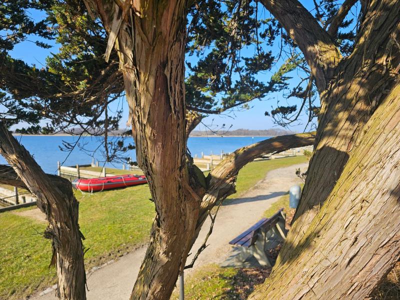 Ferienhaus zwischen Fjord und Meer - image 33