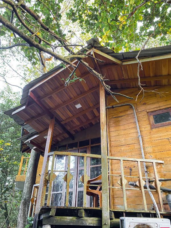 Matara Eco Friendly Treehouse - image 9