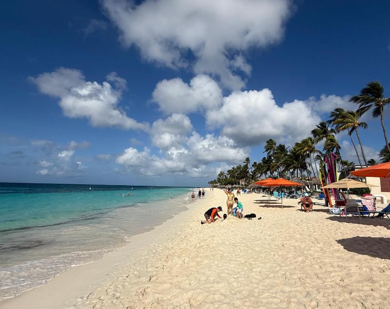 Loveli Stay Aruba - image 28