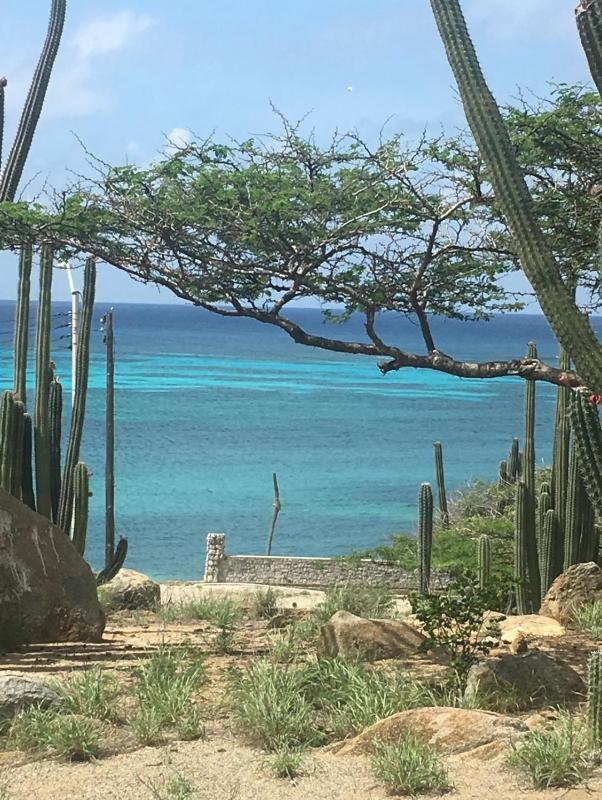 Loveli Stay Aruba - image 20