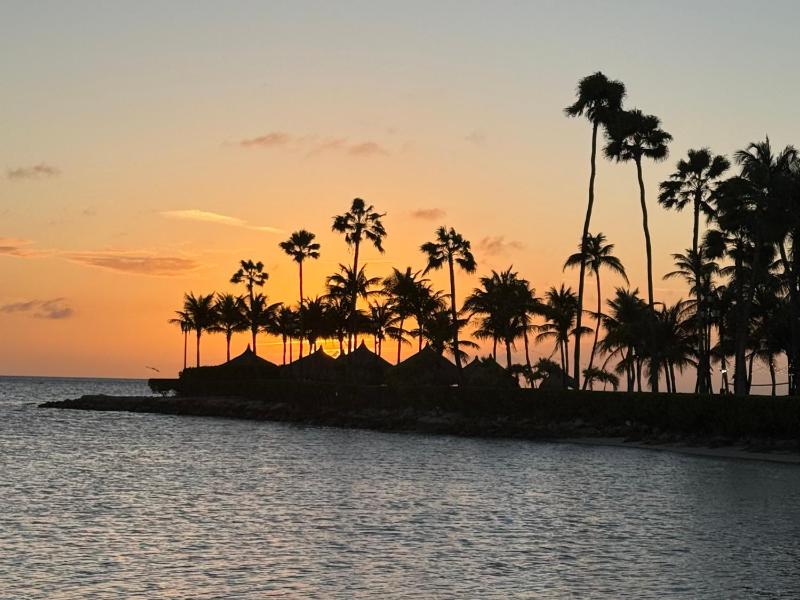Loveli Stay Aruba - image 11