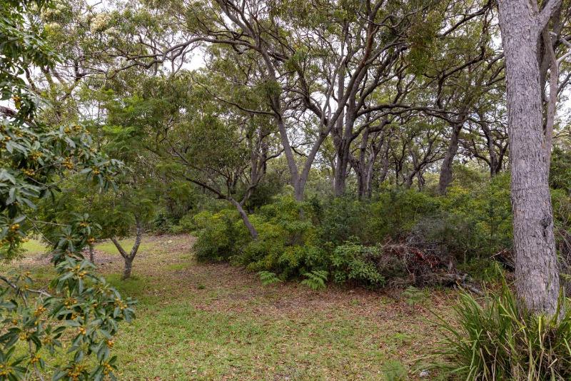Callala Living - Pet Friendly - 5 Min Walk to Beach - image 9