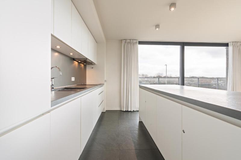 Blauwvoet 0202G - image 13