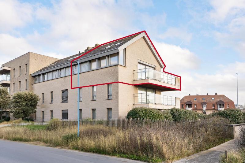 Blauwvoet 0202G - image 10