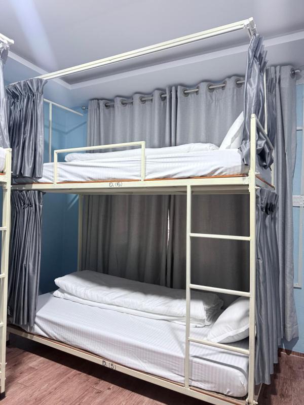 The Mango Tree Backpackers Hostel - image 11