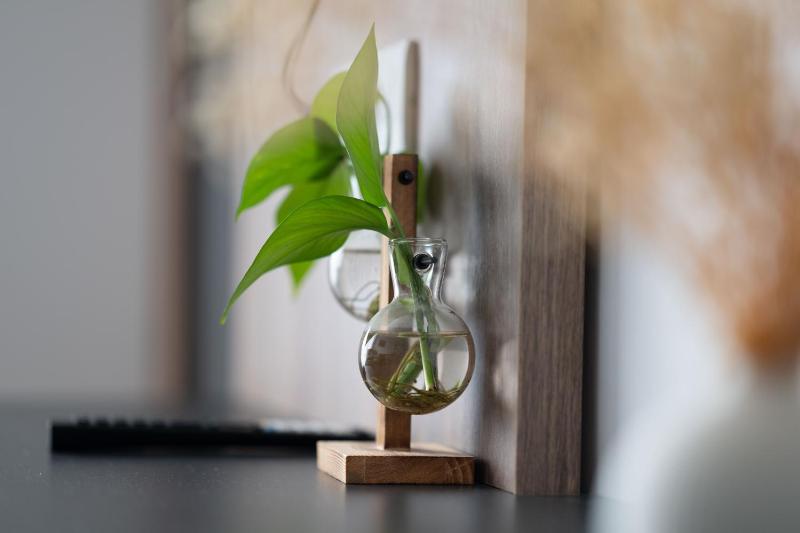 MM Apartment - image 16