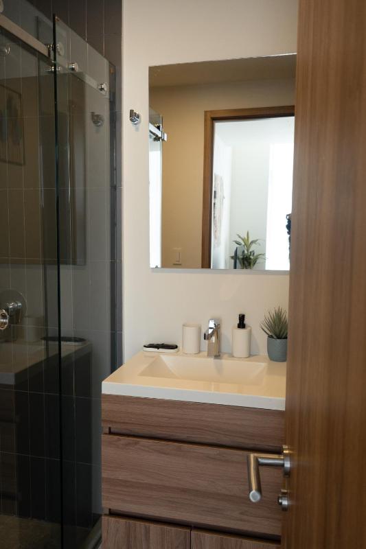 Furnished 2 Bedroom Apartment in Mexico City - image 3