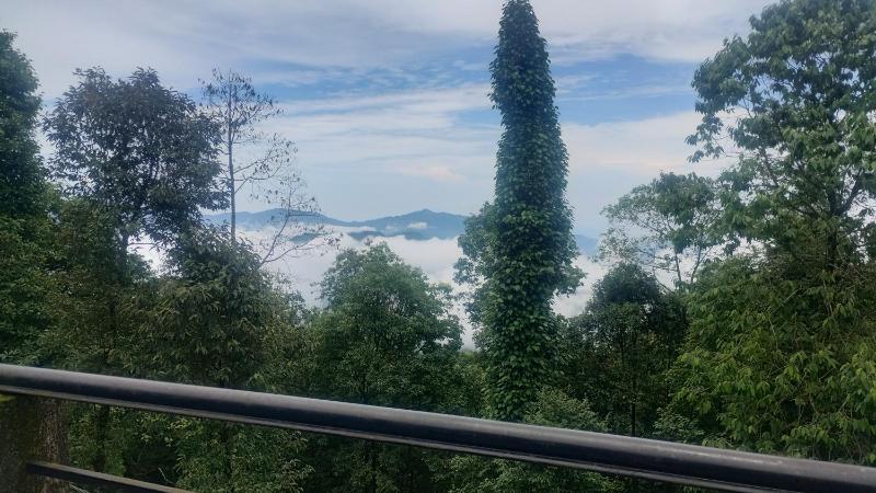 Meera homestay - image 7
