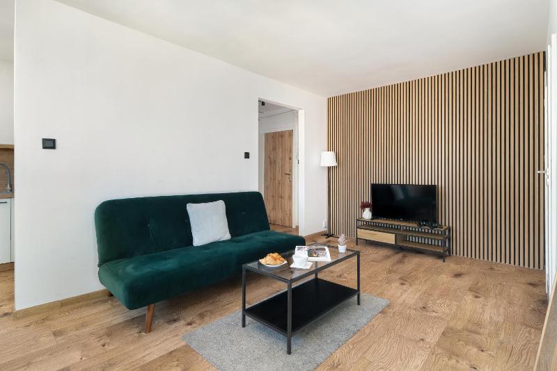 Comfortable Two-Bedroom Apartment in Poznań by Noclegi Renters - image 10