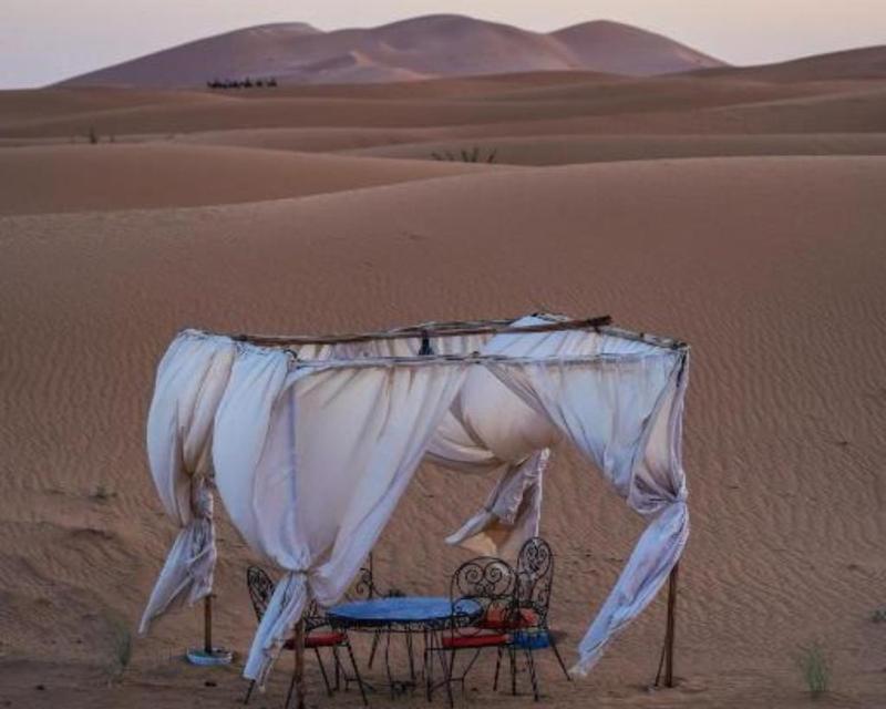 Elite Sahara Desert Camp - image 4