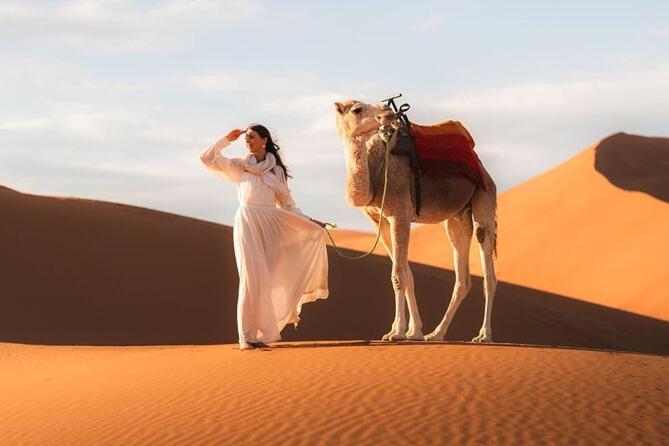 Elite Sahara Desert Camp - image 7