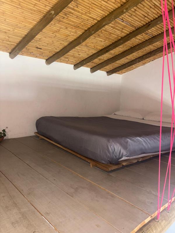 Hostal Casa Tyba - image 12