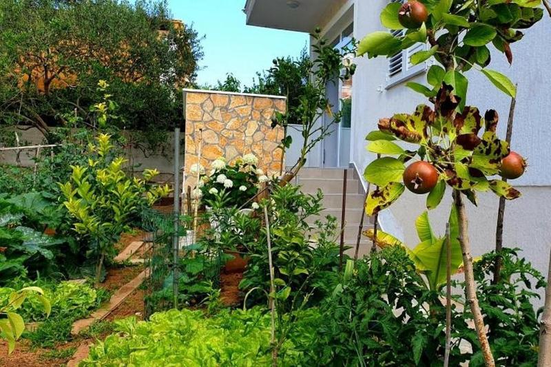Apartments with parking space Vodice - 25282 - image 6