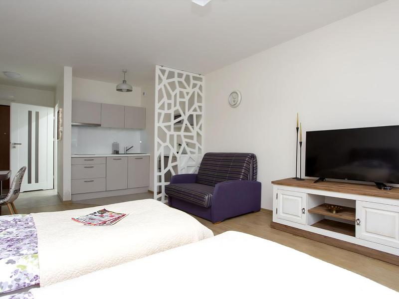 Deluxe Apartment image 3