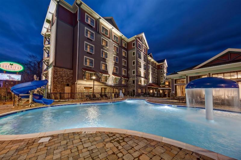 Black Fox Lodge Pigeon Forge Tapestry Collection by Hilton - image 41