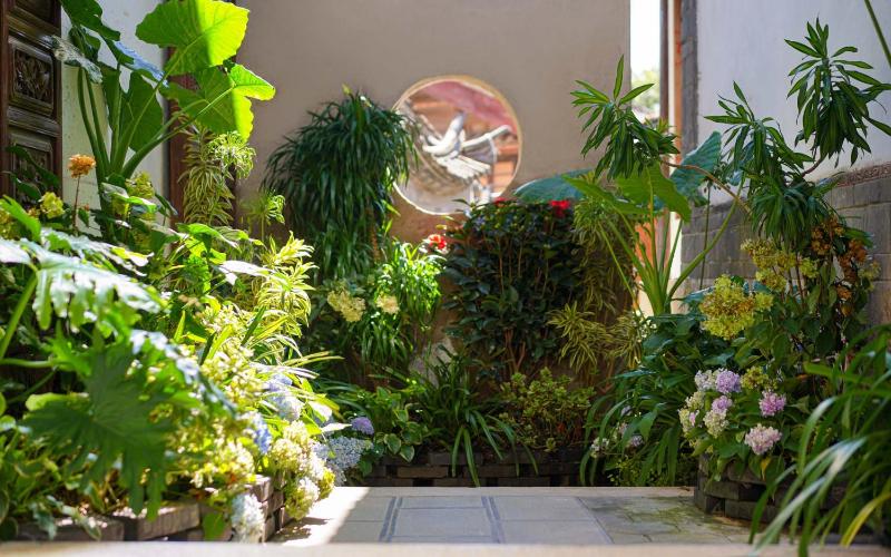 The Naxi Hereditary Courtyard - Chinese Nature's Design Retreat - Talor Made Tours & Free Pick-up from Airport or RS more than 3 Nights - image 49