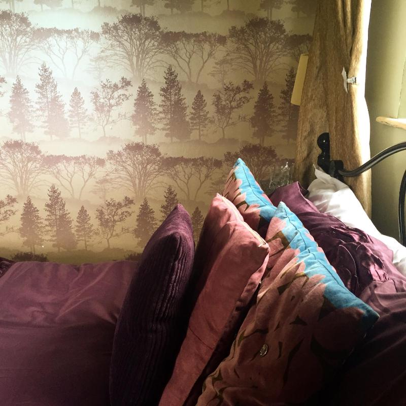 Classic Double Room image 2