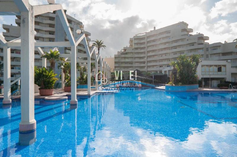 VIVE BENAL BEACH 3601 Estudio con vistas al mar y parque acuático - image 3