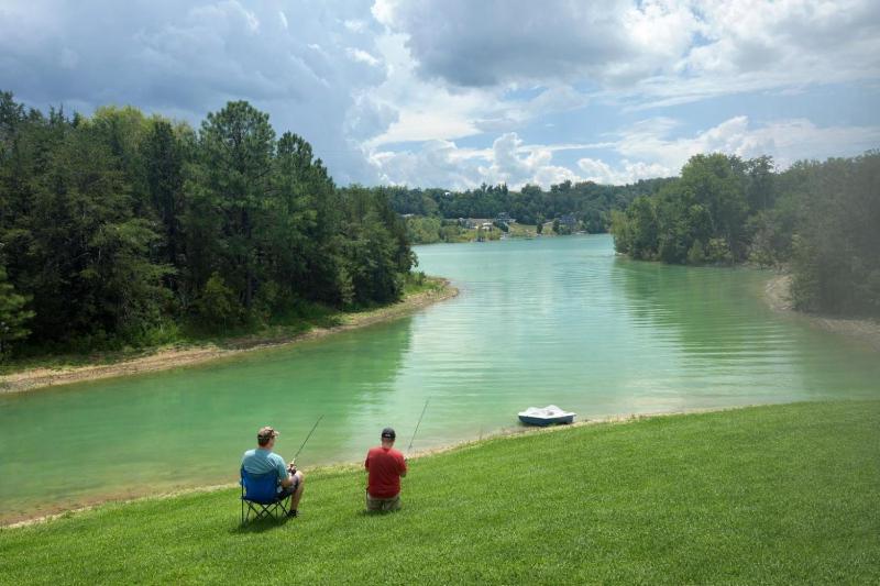 Little Lake Cove - image 7