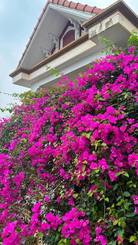 Lake View Motel - Tam Điệp Ninh Bình - image 41