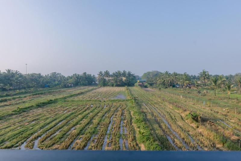Meadow View 1BHK Luxury Suite by Da Alohas - image 30