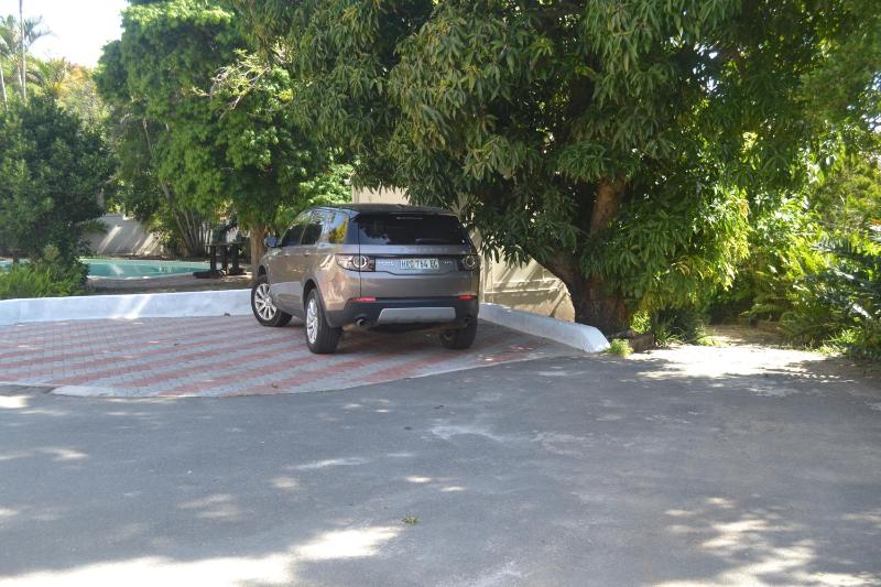 Cycad Lodge - image 14