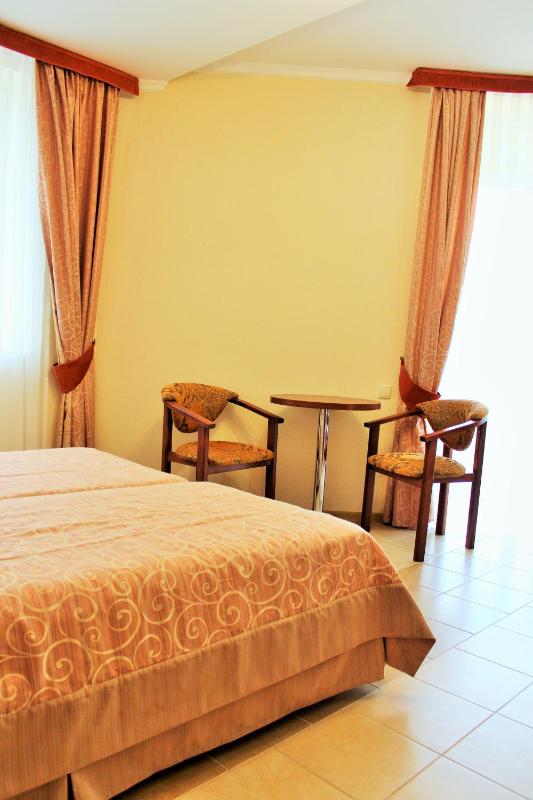 Standard Twin Room image 2