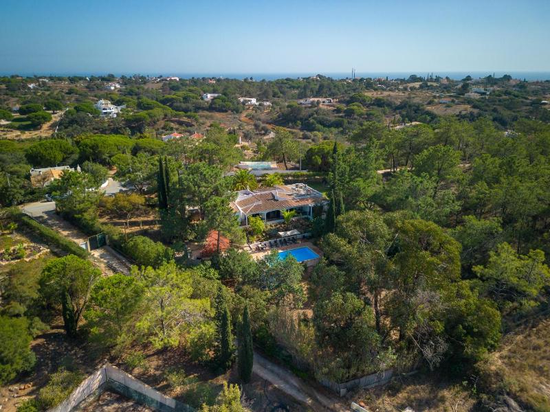 Casa Palmeiras Luxury Tranquil area BBQ Large Pool - image 41