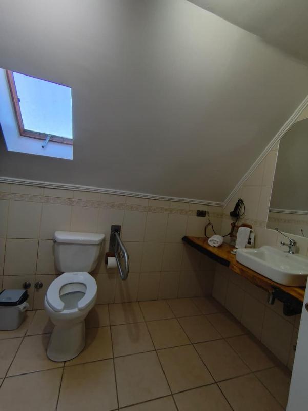 Alpes Hotel - image 46