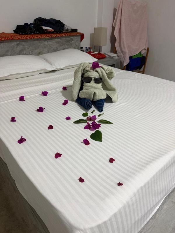 Coconut Villa - image 44