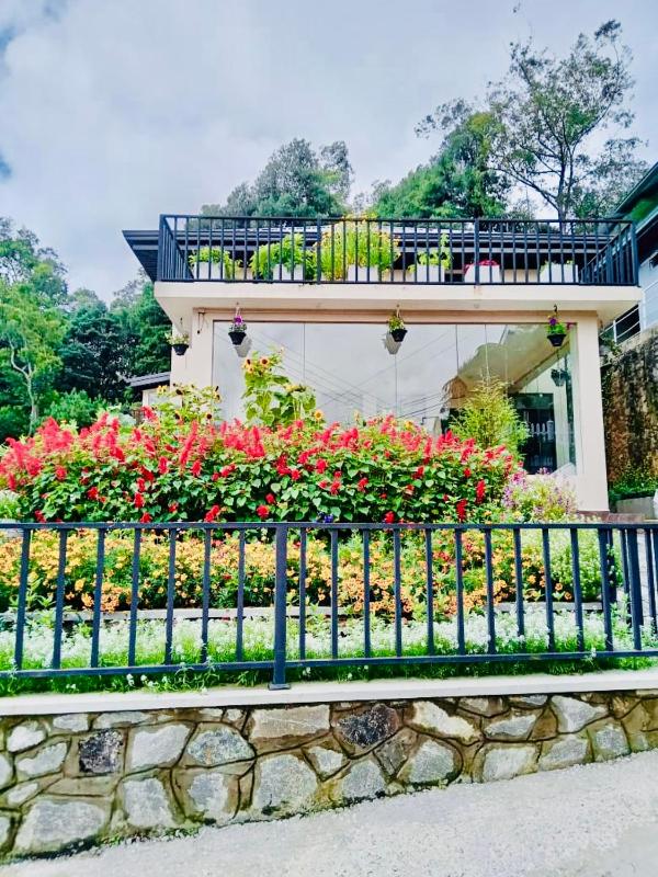 Clover Cottage - image 12