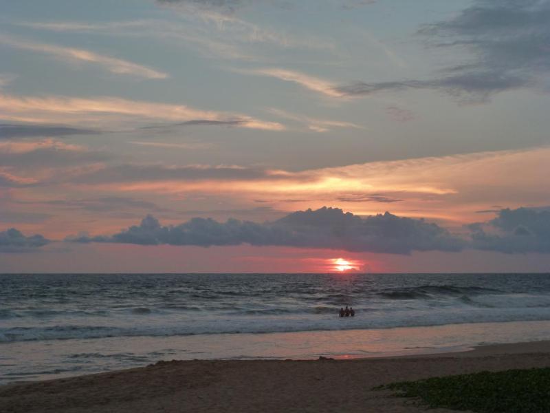 Hotel Ocean View Cottage - image 33