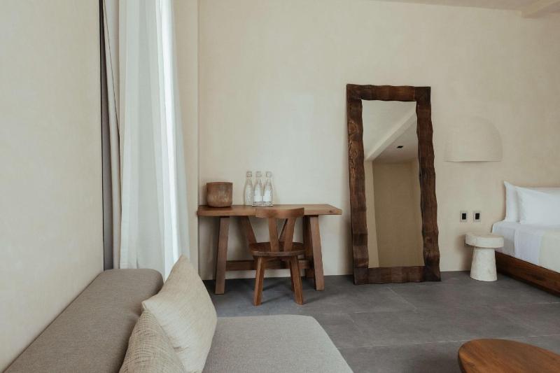 Jashita Tulum Luxury Villas - image 7