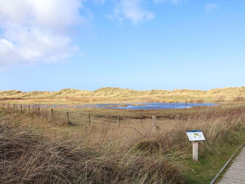 Dunes View - image 26