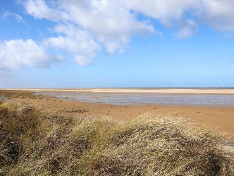 Dunes View - image 29