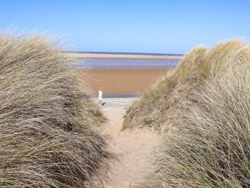 Dunes View - image 28